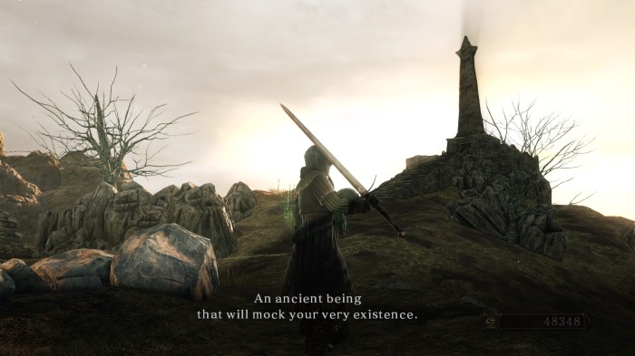Dark Souls II 16.jpg